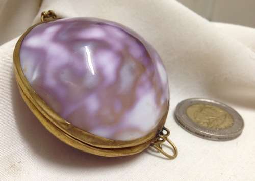 Shell Purse STUNNING - HINGED Organic brass Trim