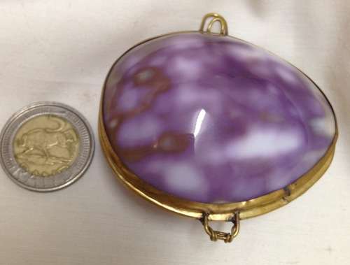 Shell Purse STUNNING - HINGED Organic brass Trim