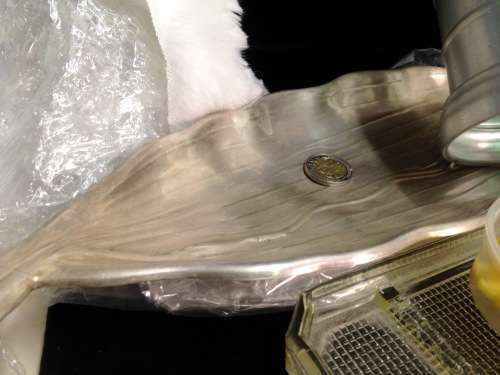 EPNS 1  Bedford plate Dish Bun Feet +1 Stein lid see through glass bottom