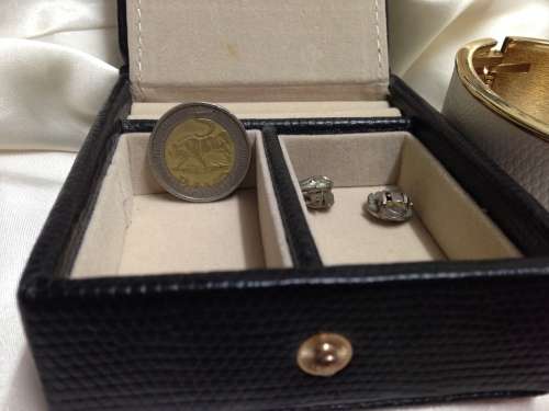 Bangle hinged clamper white faux Skin Black Jewellery box Marcasite clip on earrings