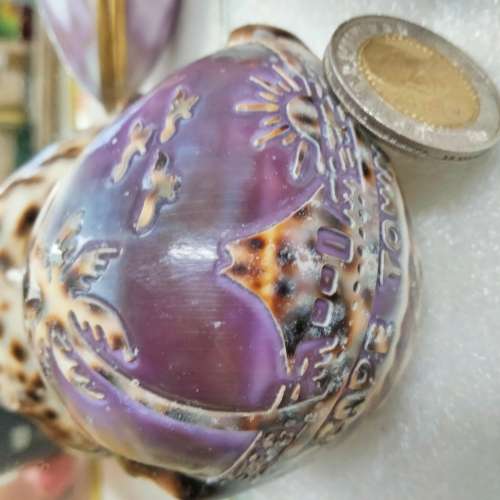 sea Shell  Cape Town carved image script Look at my Buy Now listings No Waiting