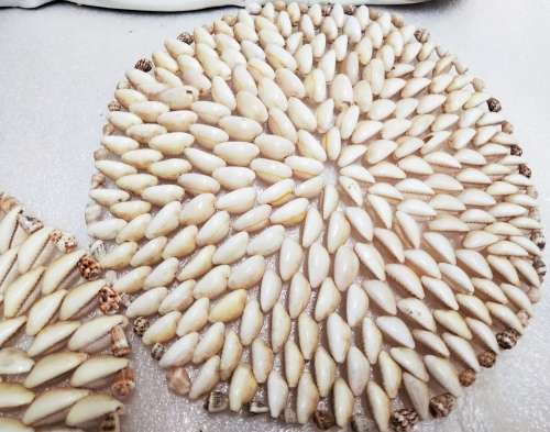 Sea SHELSEA Shells 2 Conch Made up of lots of small shell s