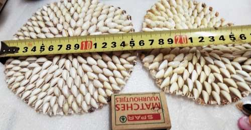 Sea SHELSEA Shells 2 Conch Made up of lots of small shell s