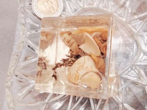 Heart shaped Glass dish + 4 Sea shells + Art Perspex Square inside sea shells