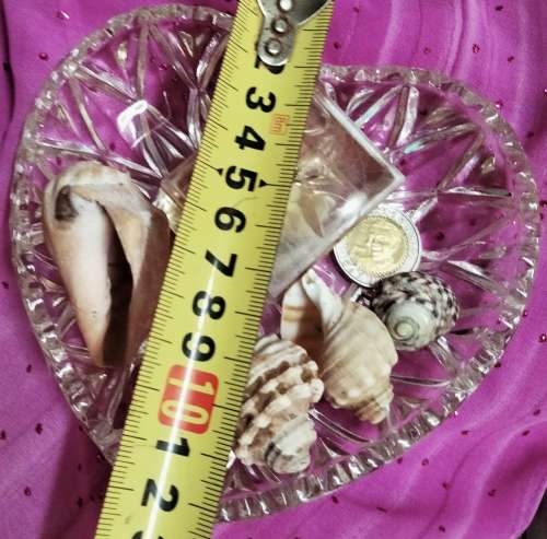 Heart shaped Glass dish + 4 Sea shells + Art Perspex Square inside sea shells