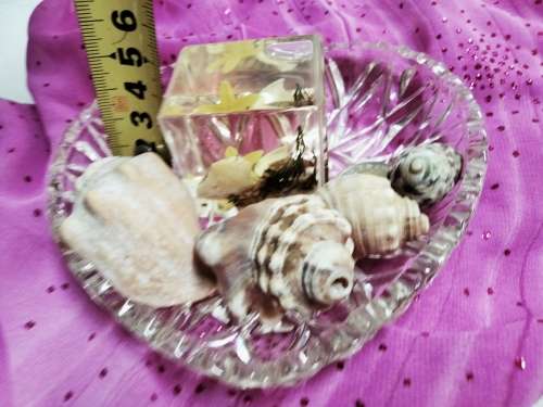 Heart shaped Glass dish + 4 Sea shells + Art Perspex Square inside sea shells