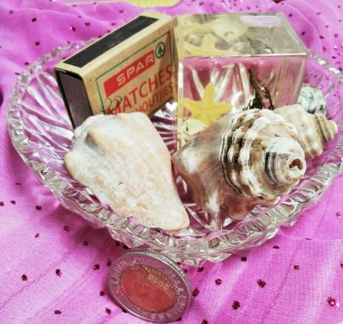 Heart shaped Glass dish + 4 Sea shells + Art Perspex Square inside sea shells
