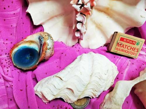 2 Clam shell hand crafted as BUTTERFLY+3othersLook At All My BUY NOW Listings NO WAITING