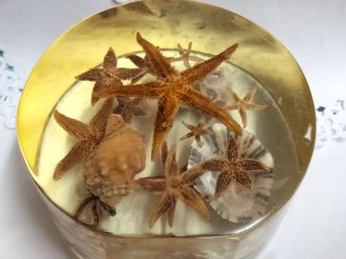 NOVELTY ART* SEA SHELLs+ Underwater Treasures Wrapped  in Resin *LARGE Weight 814 grams