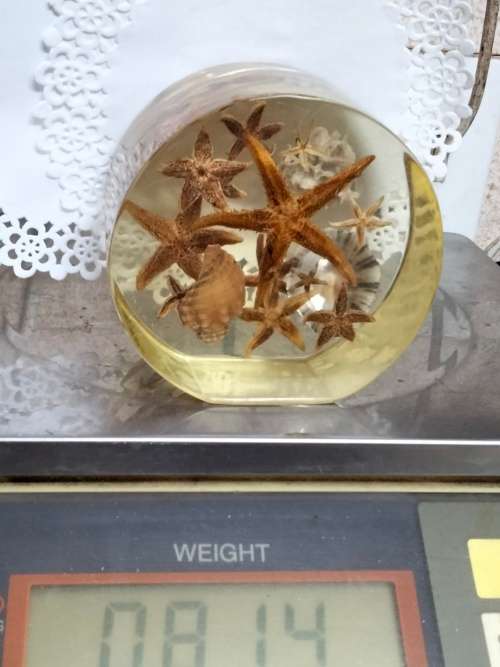 NOVELTY ART* SEA SHELLs+ Underwater Treasures Wrapped  in Resin *LARGE Weight 814 grams