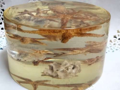 NOVELTY ART* SEA SHELLs+ Underwater Treasures Wrapped  in Resin *LARGE Weight 814 grams