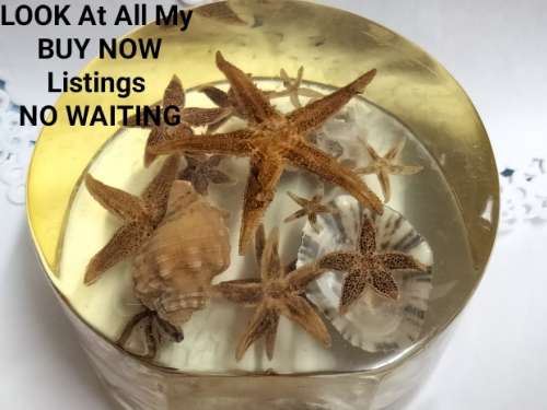 NOVELTY ART* SEA SHELLs+ Underwater Treasures Wrapped  in Resin *LARGE Weight 814 grams