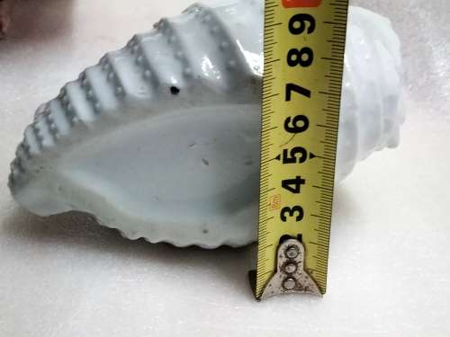 Ornament Porcelain white shell shape vase has figurine of 2 sea gulls and 2 roses