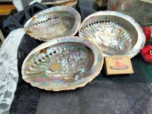 Abalone Sea Shells big +1 Brass Shell Dish Decorative LOOK at My BUY NOW-NO WAITING