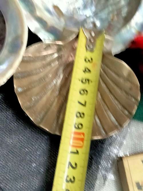 Abalone Sea Shells big +1 Brass Shell Dish Decorative LOOK at My BUY NOW-NO WAITING