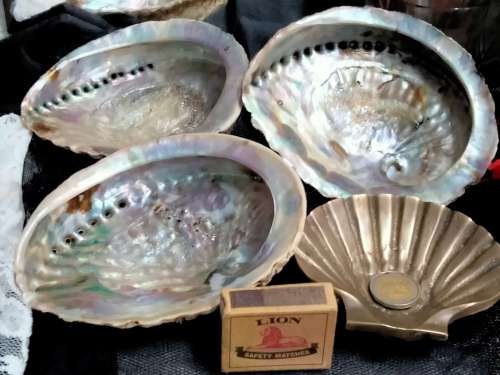 Abalone Sea Shells big +1 Brass Shell Dish Decorative LOOK at My BUY NOW-NO WAITING