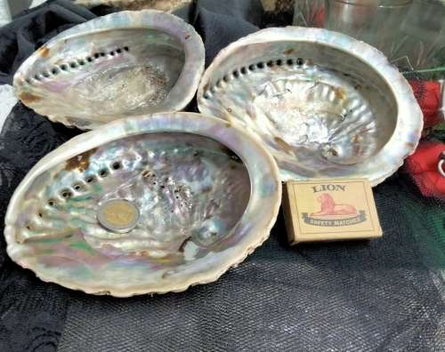 Abalone Sea Shells big +1 Brass Shell Dish Decorative LOOK at My BUY NOW-NO WAITING