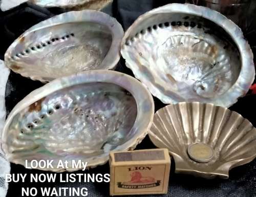 Abalone Sea Shells big +1 Brass Shell Dish Decorative LOOK at My BUY NOW-NO WAITING