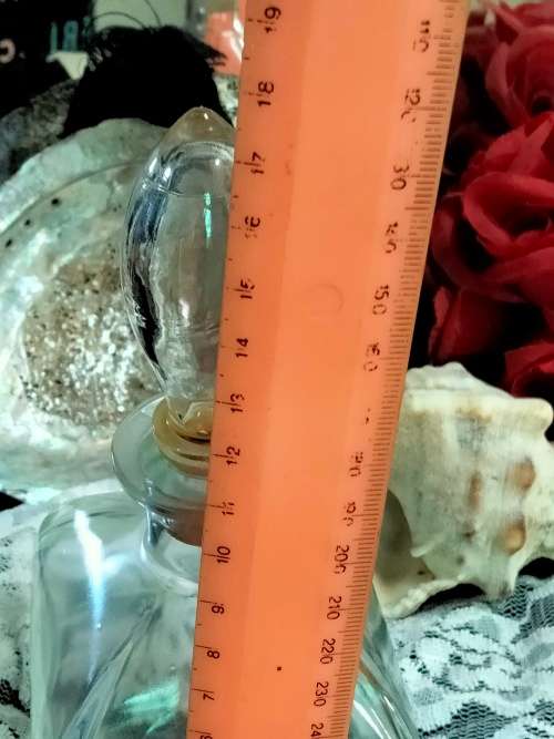 Glass bottle +1 Ashtray SeaShell mop + 1 horn shape Seashell LOOK At My BUY NOW ltems NO WAIT