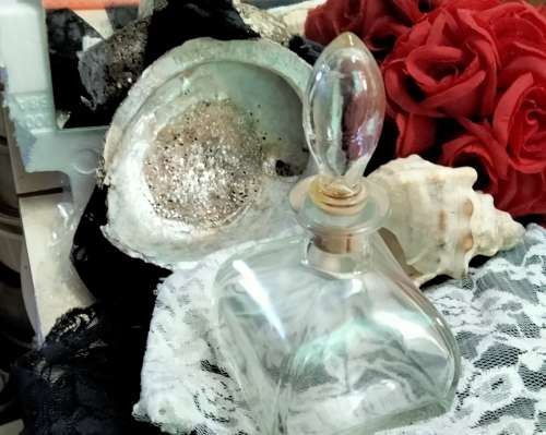 Glass bottle +1 Ashtray SeaShell mop + 1 horn shape Seashell LOOK At My BUY NOW ltems NO WAIT