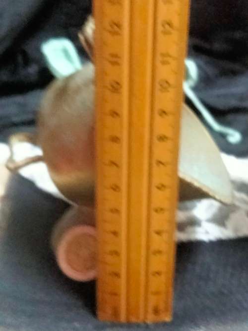 SUGAR BOWL Brass Coal Scuttle has pretty floral design LOOK At My BUY NOW LISTINGS NO WAITING
