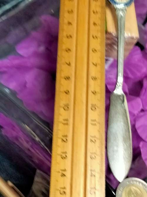 Butter knife - Enameled Association Crest- *For Hearth and Home*