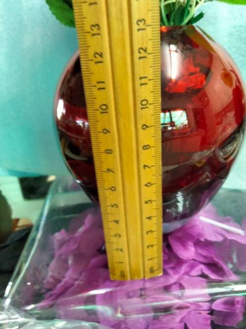 Vase + SEA SHELL- 1RUBY RED ART Glass Ovoid* Whitfriar style*Display Shells BUY NOW items NO WAITING