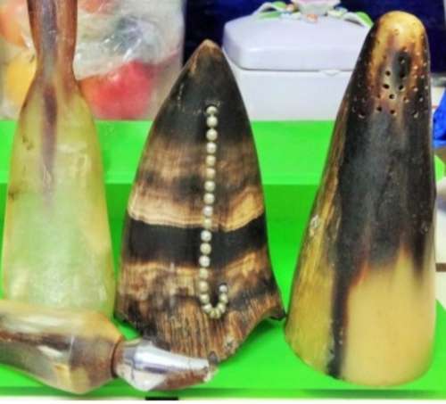 Bottle Opener -Vase -Salt shaker- Shoe horn - Hand carved bovine horn