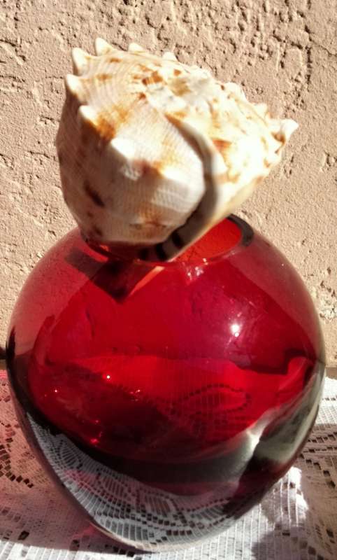 Vase + SEA SHELL- 1RUBY RED ART Glass Ovoid* Whitfriar style*Display Shells BUY NOW items NO WAITING