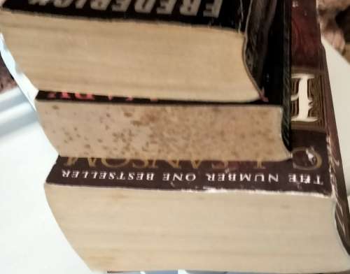 Book CJ Swanson-Heartstone-Una M Parker-False Promises+ForsythNeg.LOOK atMy BUY NOW items NO WAITING