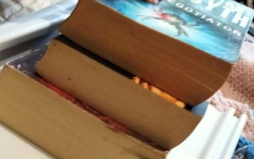 Book CJ Swanson-Heartstone-Una M Parker-False Promises+ForsythNeg.LOOK atMy BUY NOW items NO WAITING
