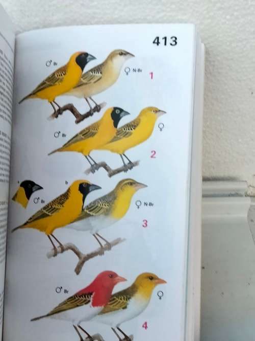 Handbook of tropical aquarium fishes+BIRDS of Southern Africa Pre-owned- LOOK At My BUY NOW NO WAIT