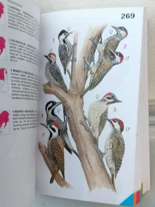Handbook of tropical aquarium fishes+BIRDS of Southern Africa Pre-owned- LOOK At My BUY NOW NO WAIT
