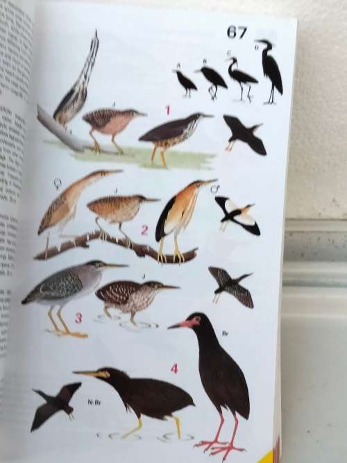 Handbook of tropical aquarium fishes+BIRDS of Southern Africa Pre-owned- LOOK At My BUY NOW NO WAIT