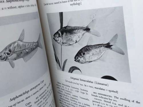 Handbook of tropical aquarium fishes+BIRDS of Southern Africa Pre-owned- LOOK At My BUY NOW NO WAIT