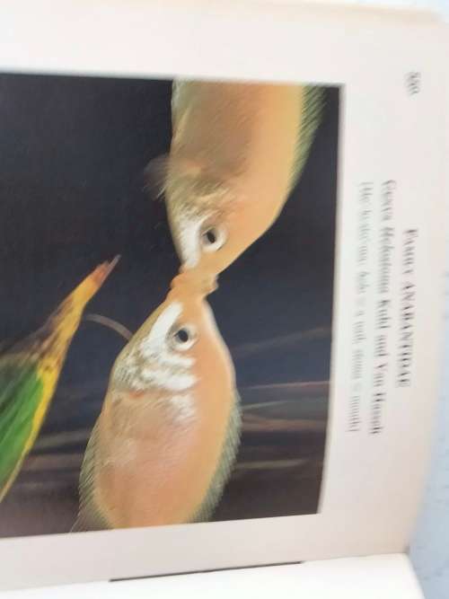 Handbook of tropical aquarium fishes+BIRDS of Southern Africa Pre-owned- LOOK At My BUY NOW NO WAIT
