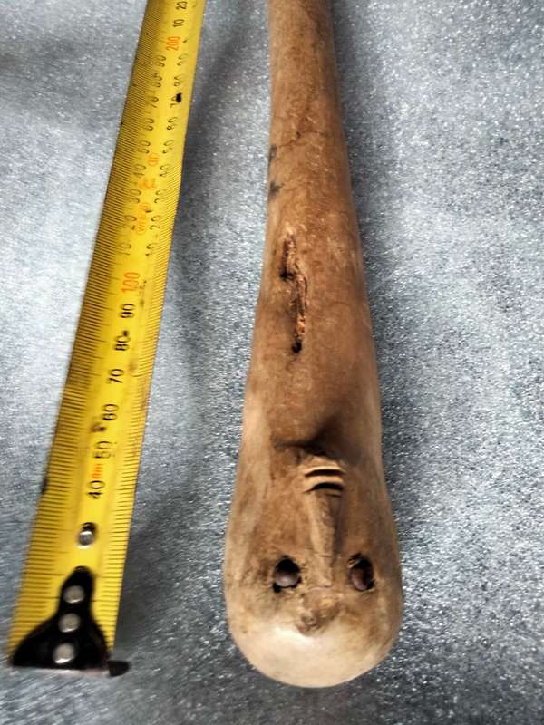 WALKING STICK Top round front shape of face Look at my Buy Now listings No Waiting