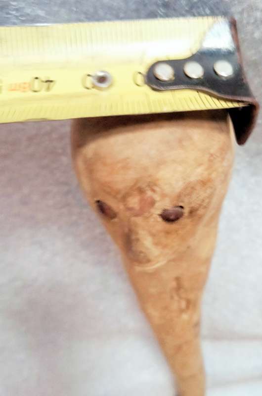 WALKING STICK Top round front shape of face Look at my Buy Now listings No Waiting