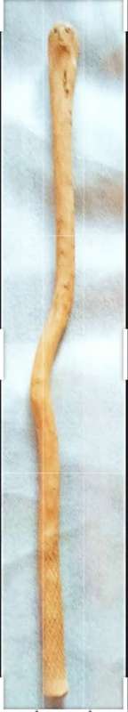 WALKING STICK Top round front shape of face Look at my Buy Now listings No Waiting