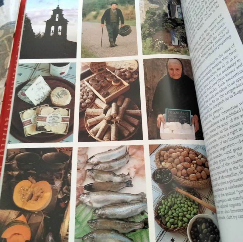 BOOK The TASTE of France- Robert Freson PB 1983 LOOK At My BUY NOW LISTINGS NO WAITING