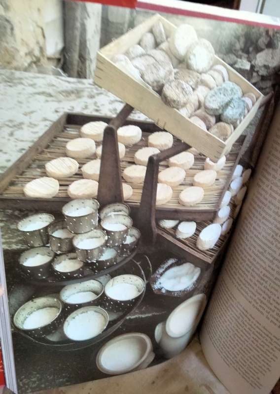BOOK The TASTE of France- Robert Freson PB 1983 LOOK At My BUY NOW LISTINGS NO WAITING