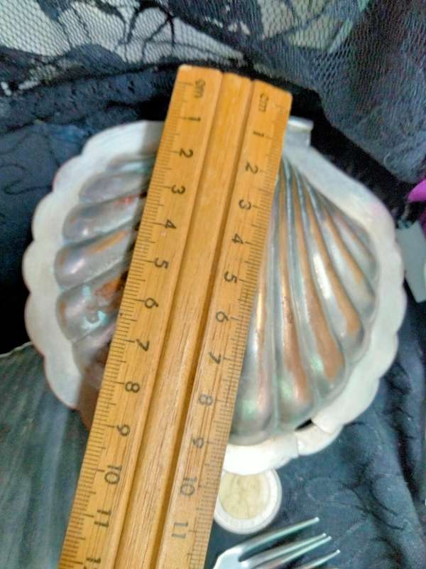 EPNS Clam shell Butter Dish+frostedGlass inner+1 Clam Shell dish+6Cocktail forks LOOK At My BUY NOW