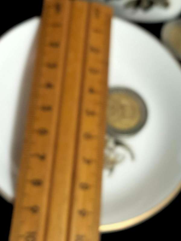 3  PIN Trays*Royal Doulton*Tuscan*Royal Worcester+2 Tooth Pick Holders*LOOK At My BUY NOW*NO WAITING