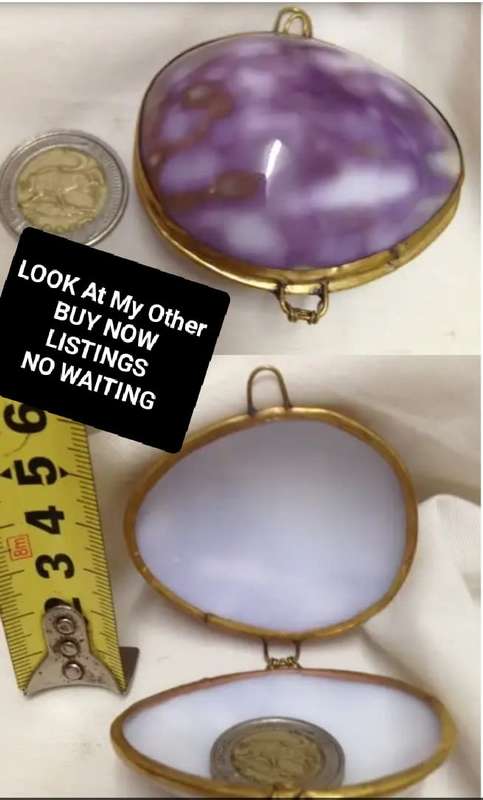 Shell Purse STUNNING - HINGED Organic brass Trim