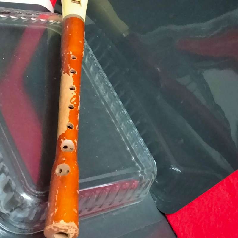 Vintage German made Hohner *Suctio Wood+Resin Mouth piece *Working* Note Wood has lost coating