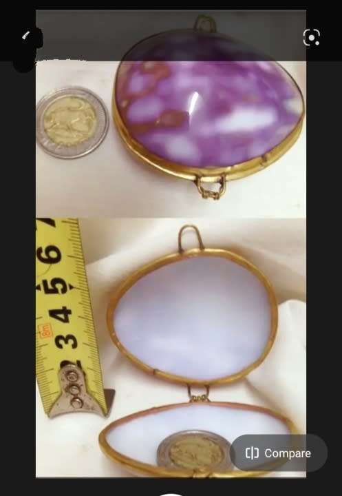 Shell Purse STUNNING - HINGED Organic brass Trim