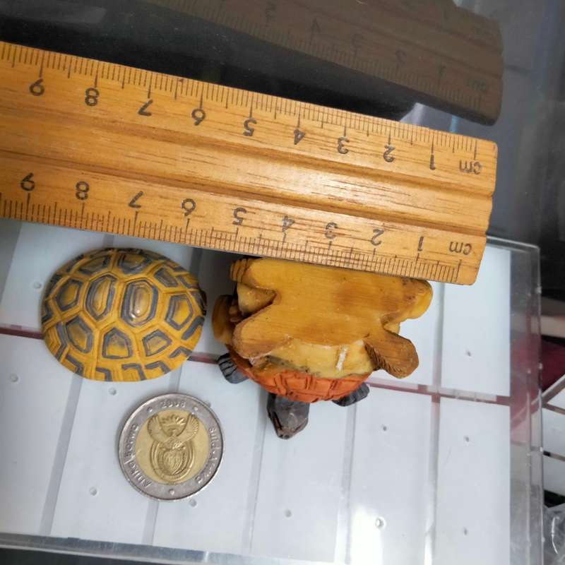 Pill Box lift of lid Tortoise Totem Pole small composite