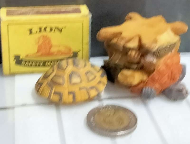 Pill Box lift of lid Tortoise Totem Pole small composite