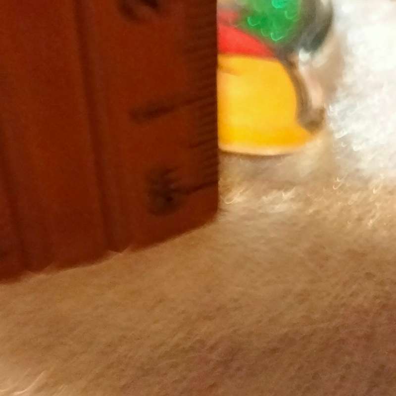 Poo Bear Pin back says  Disney Store St Lucia