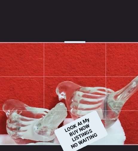 2 Classy!Candle holder Glass BIRD INDIANA  LOOK At My BUY NOW Items NO WAITING